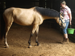 Melissa and Cloud